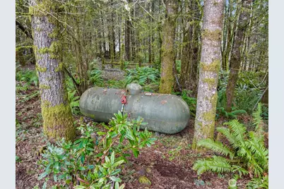 14415 Fircrest Lane SE, Tenino, WA 98589 - Photo 18