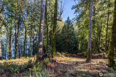 123 N Hwy 101, Hoodsport, WA 98548 - Photo 12