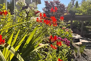 11229 NE 116th Pl, Kirkland, WA 98034 - Photo 36