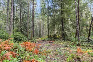 15706 71st St NW, Lakebay, WA 98349 - Photo 28