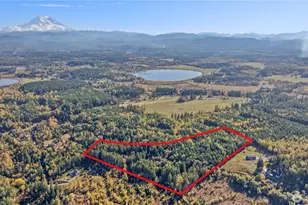 40320 32nd Ave E, Eatonville, WA 98328 - Photo 4