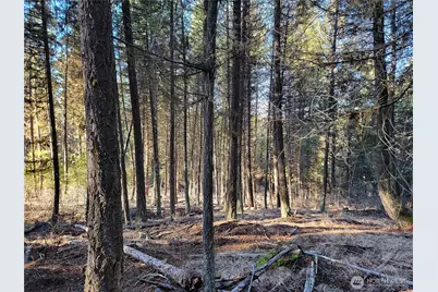 9999 Tbd Lundimo Meadows Road, Curlew, WA 99118 - Photo 1