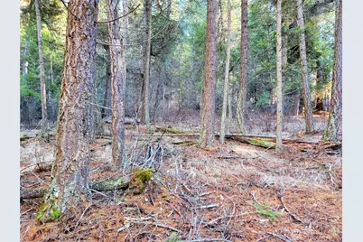 9999 Tbd Lundimo Meadows Road, Curlew, WA 99118 - Photo 6