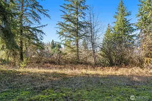 10714 180th St SE, Snohomish, WA 98296 - Photo 38