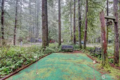 243 Schinn Canyon Court, Deming, WA 98244 - Photo 4