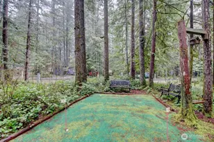 243 Schinn Canyon Ct, Deming, WA 98244 - Photo 4