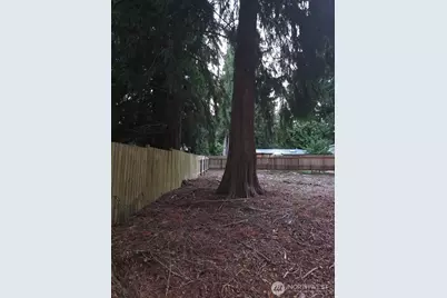 0 Xxx Forest View Drive, Bellingham, WA 98229 - Photo 24