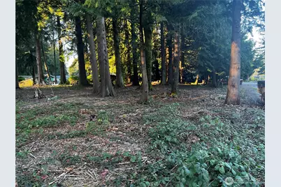 0 Xxx Forest View Drive, Bellingham, WA 98229 - Photo 12