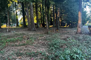 0 Xxx Forest View Dr, Bellingham, WA 98229 - Photo 12