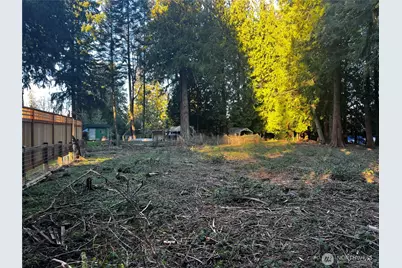 0 Xxx Forest View Drive, Bellingham, WA 98229 - Photo 14