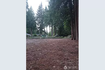 0 Xxx Forest View Drive, Bellingham, WA 98229 - Photo 34
