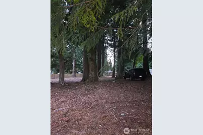 0 Xxx Forest View Drive, Bellingham, WA 98229 - Photo 38