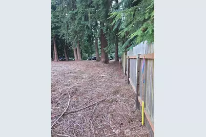 0 Xxx Forest View Drive, Bellingham, WA 98229 - Photo 28