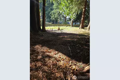 0 Xxx Forest View Drive, Bellingham, WA 98229 - Photo 22