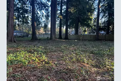0 Xxx Forest View Drive, Bellingham, WA 98229 - Photo 10