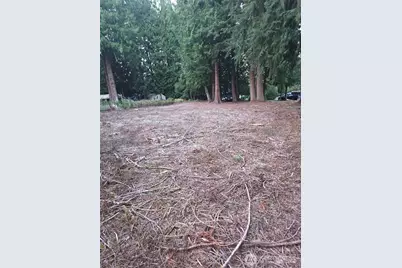 0 Xxx Forest View Drive, Bellingham, WA 98229 - Photo 26