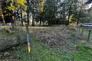 0 Xxx Forest View Dr, Bellingham, WA 98229 - Photo 4