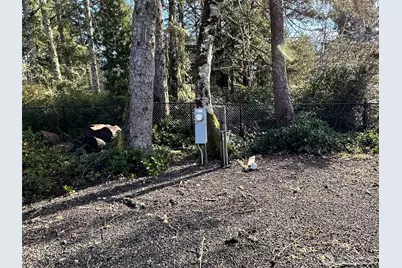 864 Hassalo Avenue SE, Ocean Shores, WA 98569 - Photo 14