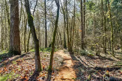 5008 Dodjatree Lane SE, Olympia, WA 98501 - Photo 34