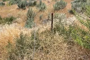 37 Osprey Nest Rd, Pateros, WA 98846 - Photo 1