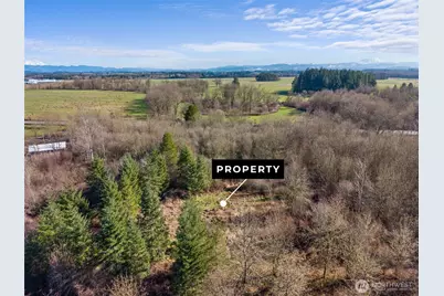 110 Frost Road, Winlock, WA 98596 - Photo 22