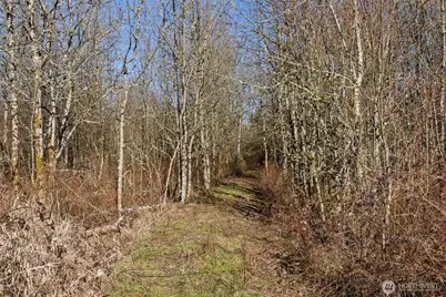 0 Frost Road, Toledo, WA 98591 - Photo 8