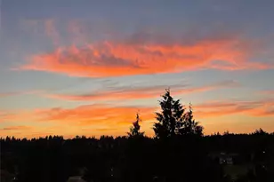 23007 Lakeview Dr, Mountlake Terrace, WA 98043 - Photo 2