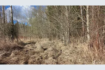 32504 Mountain Highway E, Eatonville, WA 98328 - Photo 14