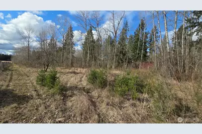 32504 Mountain Highway E, Eatonville, WA 98328 - Photo 10