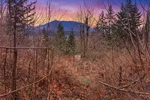 5450 Reese Hill Rd, Sumas, WA 98295 - Photo 28