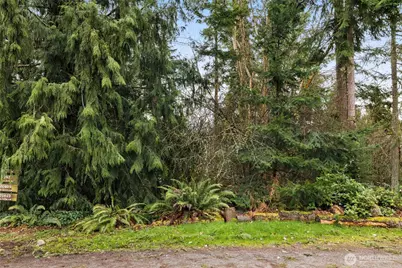 0 209th Avenue NE, Sammamish, WA 98074 - Photo 4