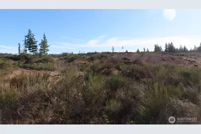 2906 357th Street E, Eatonville, WA 98328 - Photo 20