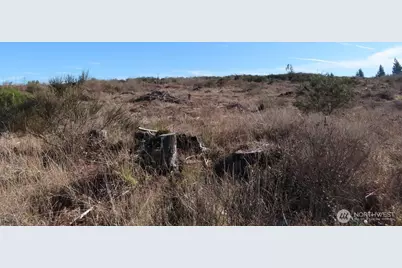 2906 357th Street E, Eatonville, WA 98328 - Photo 6