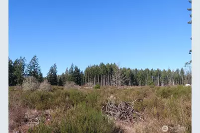 2906 357th Street E, Eatonville, WA 98328 - Photo 16