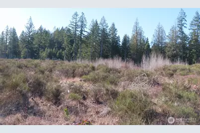 2906 357th Street E, Eatonville, WA 98328 - Photo 18