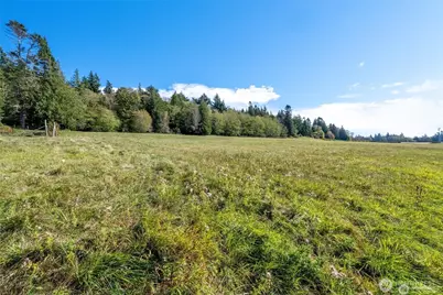 2383 W Shore Drive, Lummi Island, WA 98262 - Photo 14