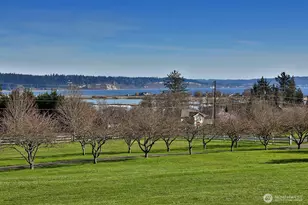 1975 Hillvista Pl, Freeland, WA 98249 - Photo 28