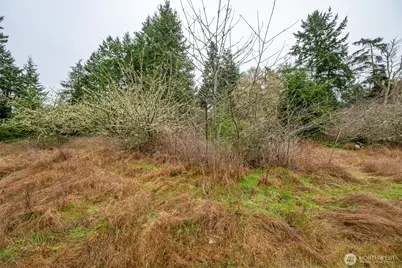 4117 Degraff Road, Oak Harbor, WA 98277 - Photo 14