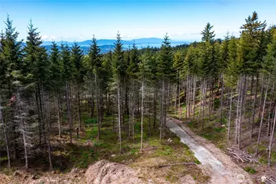 3722 Academy Highlands Drive, Bellingham, WA 98229 - Photo 34