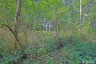 20825 Old Mill Road SW, Vashon, WA 98070 - Photo 12