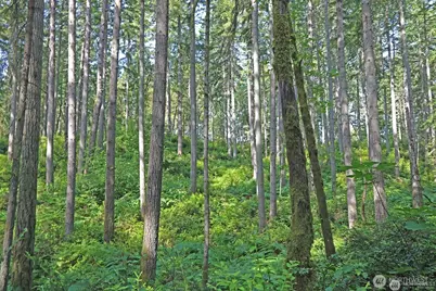 20825 Old Mill Road SW, Vashon, WA 98070 - Photo 2