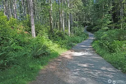 20825 Old Mill Road SW, Vashon, WA 98070 - Photo 4