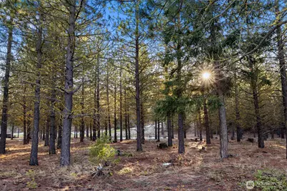 1150 Southern Star Lane, Cle Elum, WA 98922 - Photo 8