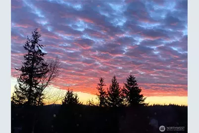 1636 Amy Court, Bellingham, WA 98226 - Photo 38