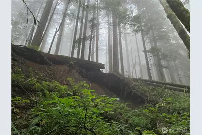 18621 Sr 530 NE, Stanwood, WA 98223 - Photo 4