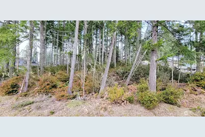 350 E Vine Maple Lane, Union, WA 98592 - Photo 2