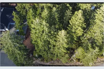 350 E Vine Maple Lane, Union, WA 98592 - Photo 2