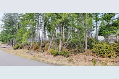 350 E Vine Maple Lane, Union, WA 98592 - Photo 6