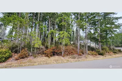 350 E Vine Maple Lane, Union, WA 98592 - Photo 4