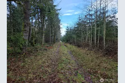 0 End Of Smith Road, Centralia, WA 98531 - Photo 8